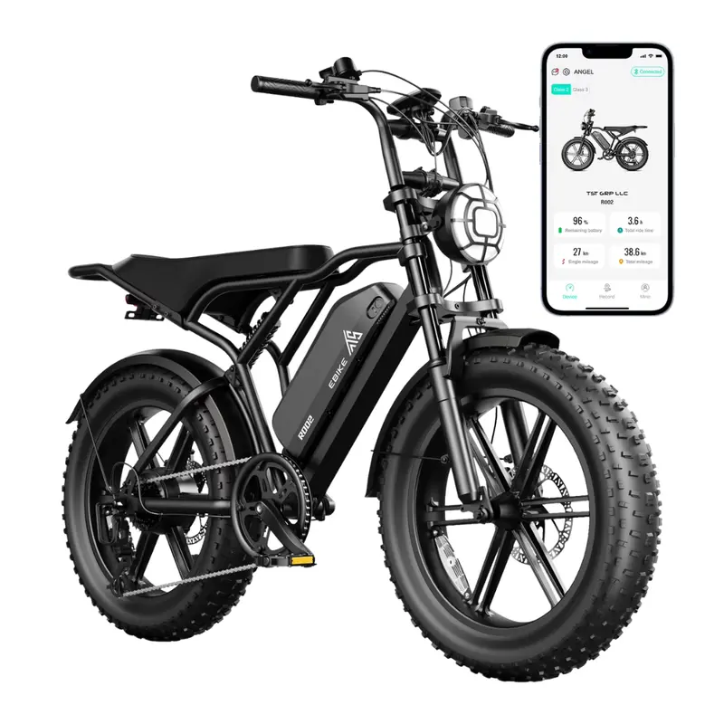 Tst 750W Peak 1500W Motor 20" X 4" Fat Tire Electric Bike 1