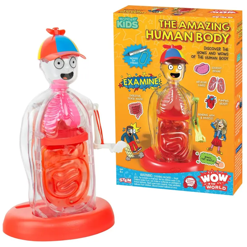 Wow In The World Amazing Human Body Science Kit For Kids 1